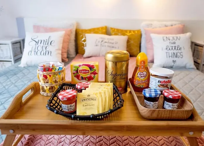 Studio Tt Confort Centre * Dax